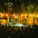 Fleet Foxes avatar