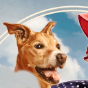 Pinups For Pitbulls, Inc. avatar