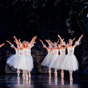 Ballet Northwest avatar