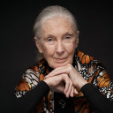 Dr. Jane Goodall avatar