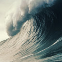 Maya and The Wave avatar