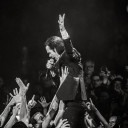 Nick Cave & the Bad Seeds avatar