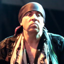 Little Steven & the Disciples of Soul avatar