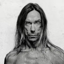 Iggy Pop avatar