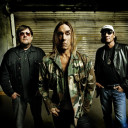 The Stooges avatar