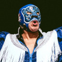 Blue Panther avatar