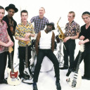 The English Beat avatar