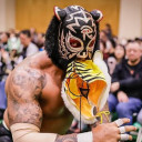 Black Tiger avatar