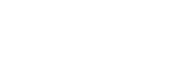 POLICA logo