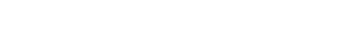 RÜFÜS DU SOL logo