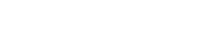 Nikki Hill logo