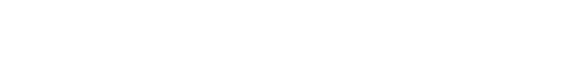 Robert Schwartzman logo