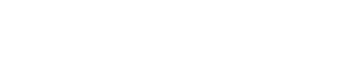 Nate LaPointe logo