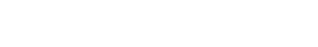 Fleetwood Mac logo