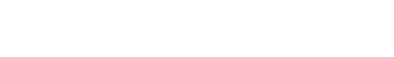 Shawn Everett logo