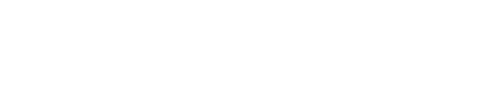 Dylan Nash logo