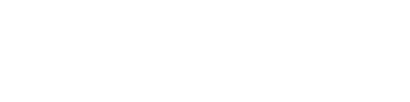 Little Steven & the Disciples of Soul logo