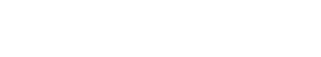 Sal Vulcano logo