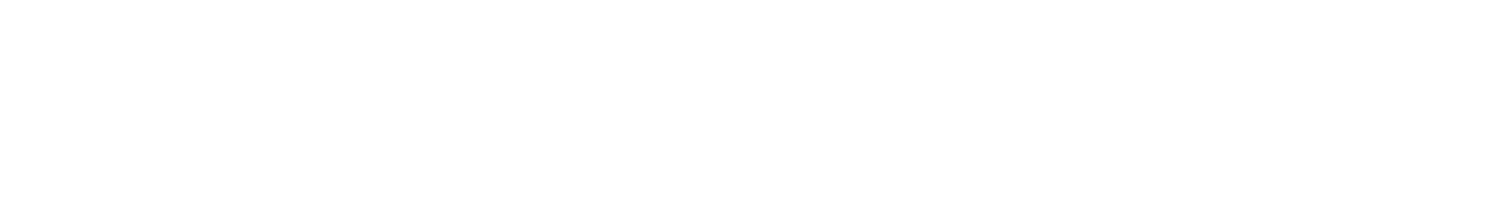 Straylight Run logo