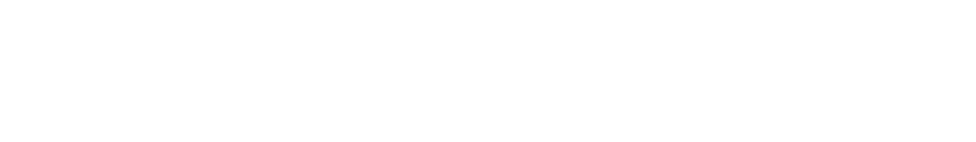 Bruce Dickinson logo