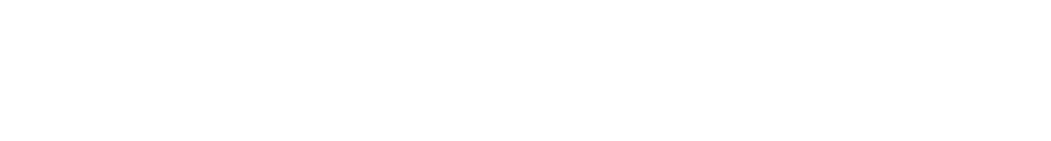 Lindsey Webster logo