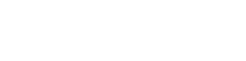 Steve Vai logo