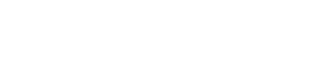 Sarah Shahi logo