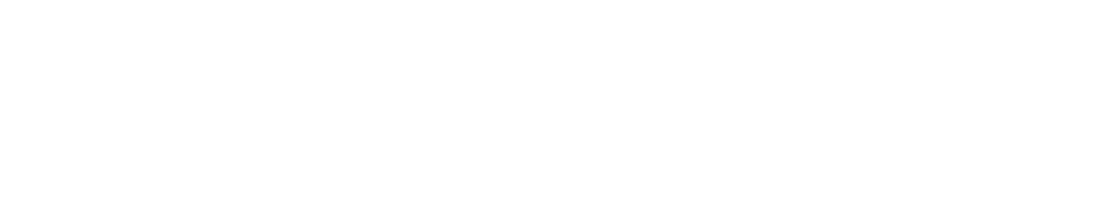 Chris Stein logo