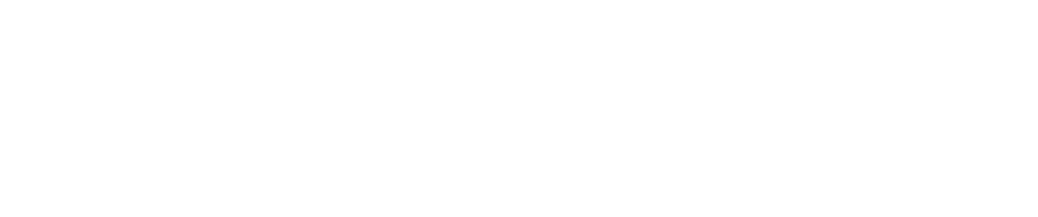 Don Bolles logo