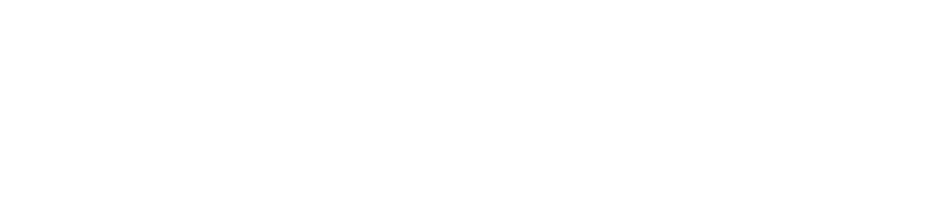 Mike Ness logo