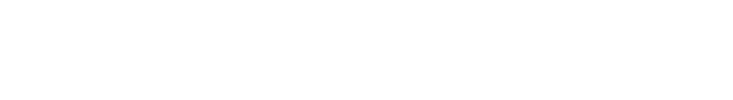 Shane MacGowan logo