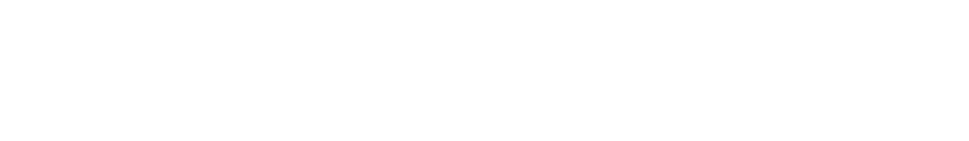 Steve Winwood logo