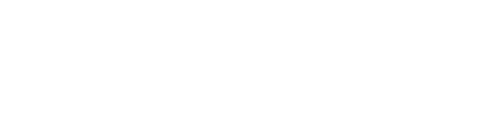 Big Star logo