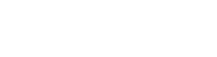 Lou Reed logo