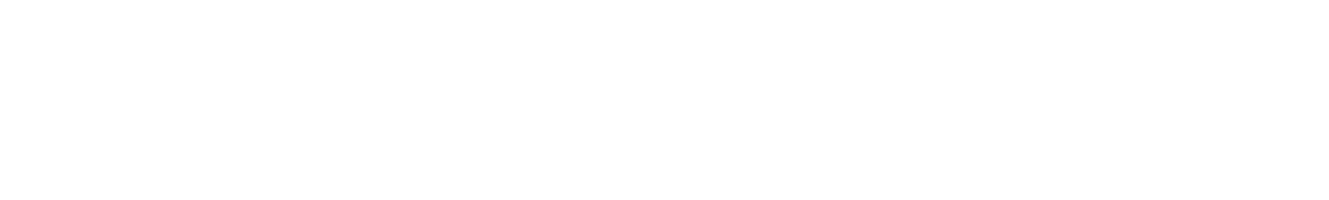 Danny McBride logo