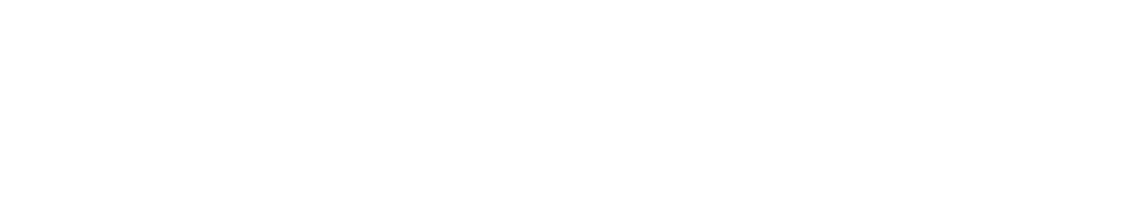 Court Bauer logo
