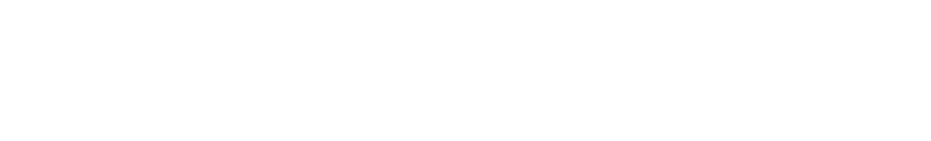 Karl Anderson logo