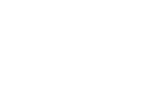 Nas logo