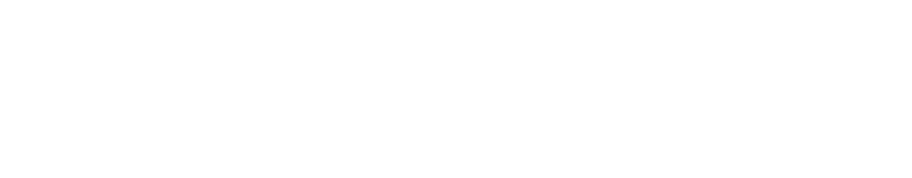 Bonnie Dunn logo