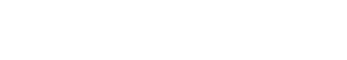 Rich Bocchini logo