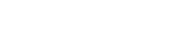Magnus logo