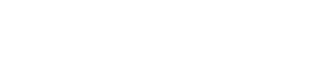 Lee Quinones logo