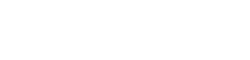 Lady Pink logo