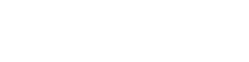 Big Damo logo
