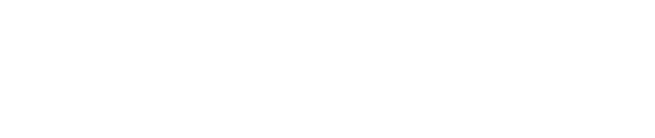 Wolfgang logo
