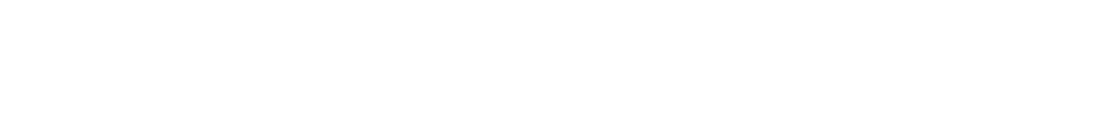 Widespread Panic logo