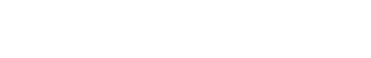 Nessa Barrett logo