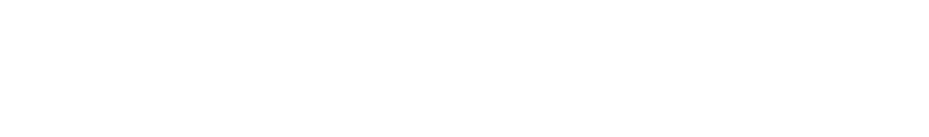 Daryl Palumbo logo