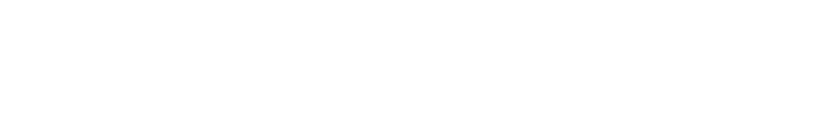 Brick Savage logo