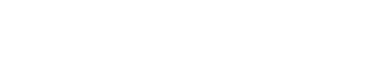 Interpol logo